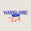 WANNA ONE GO in LA EP.1