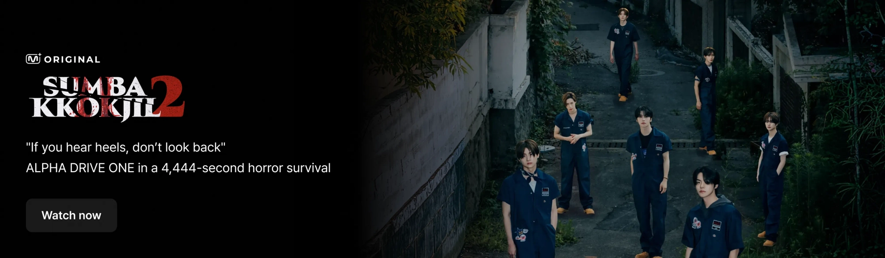 Promotional banner 8