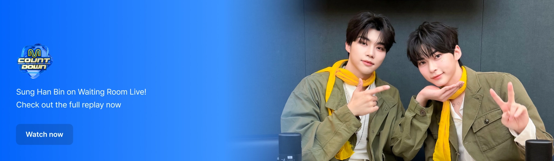 Promotional banner 8