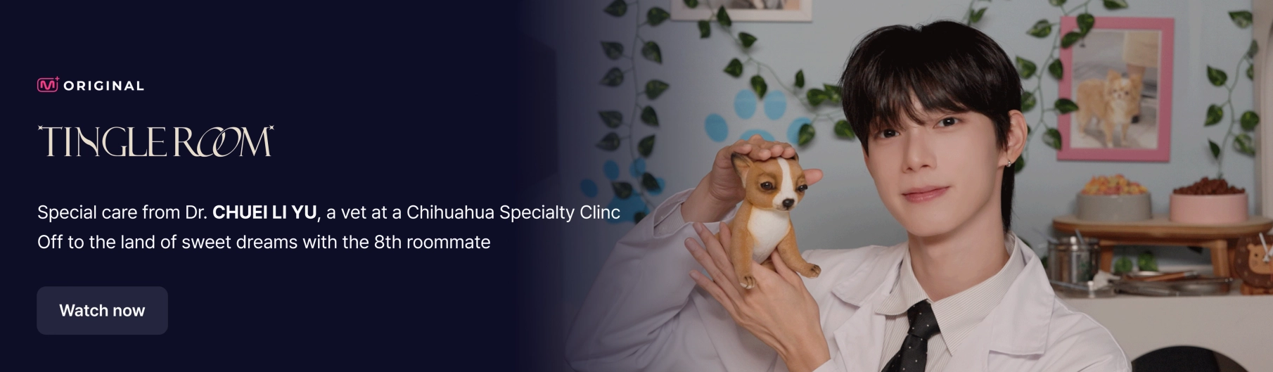 Promotional banner 2