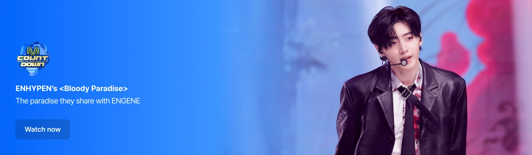 Promotional banner 8