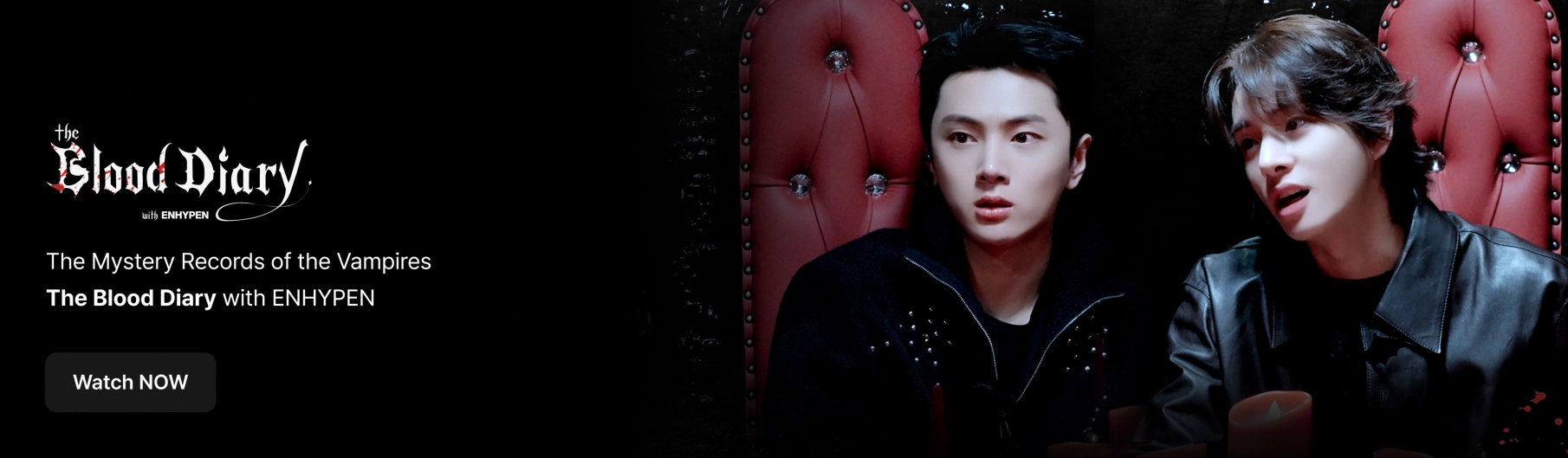 Promotional banner 2
