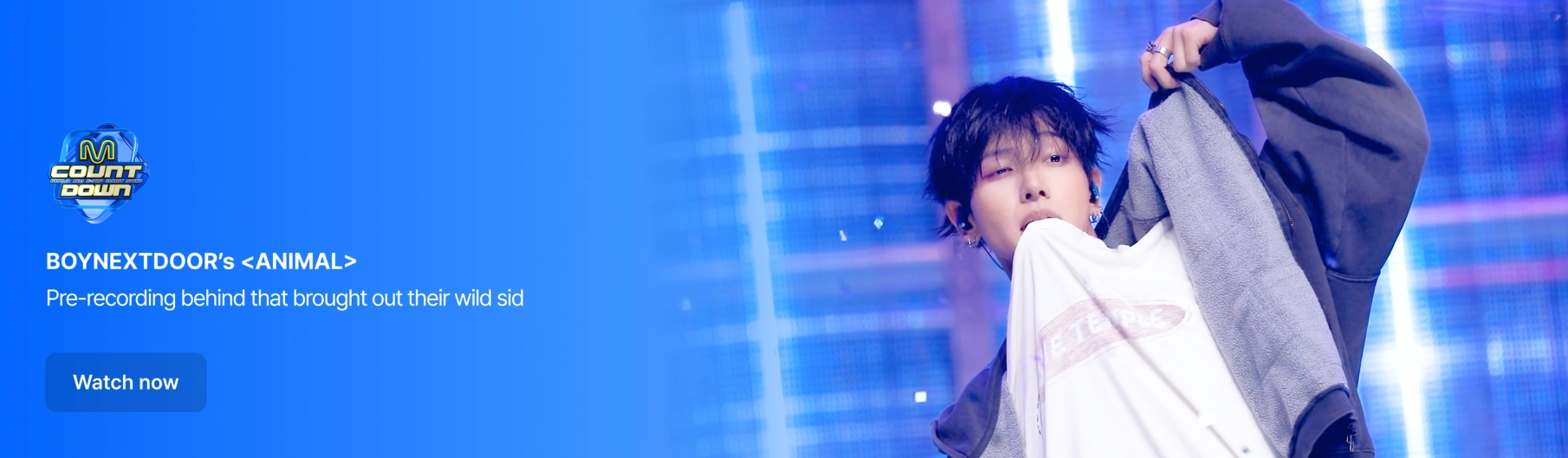 Promotional banner 4