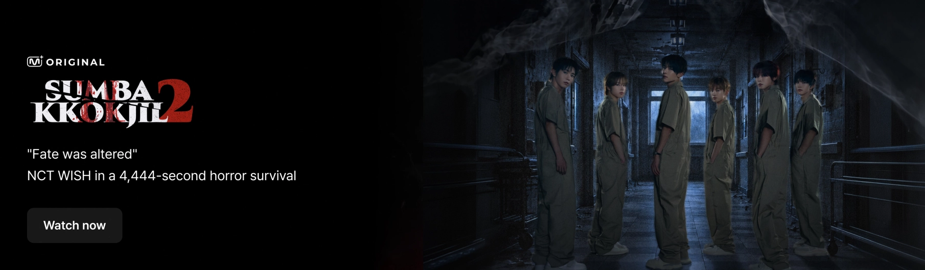 Promotional banner 1